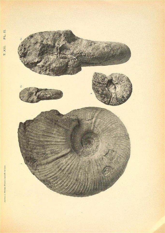n190_w1150