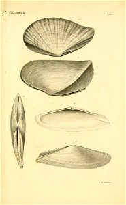 n152_w1150