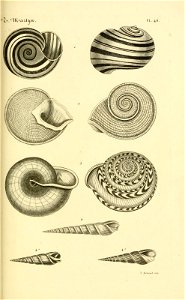 n122_w1150