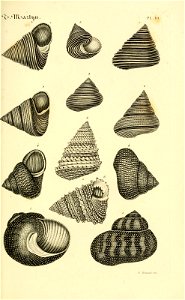 n62_w1150