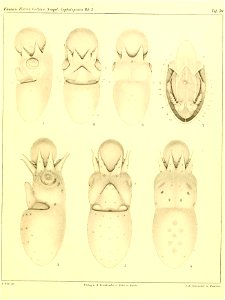 n356_w1150