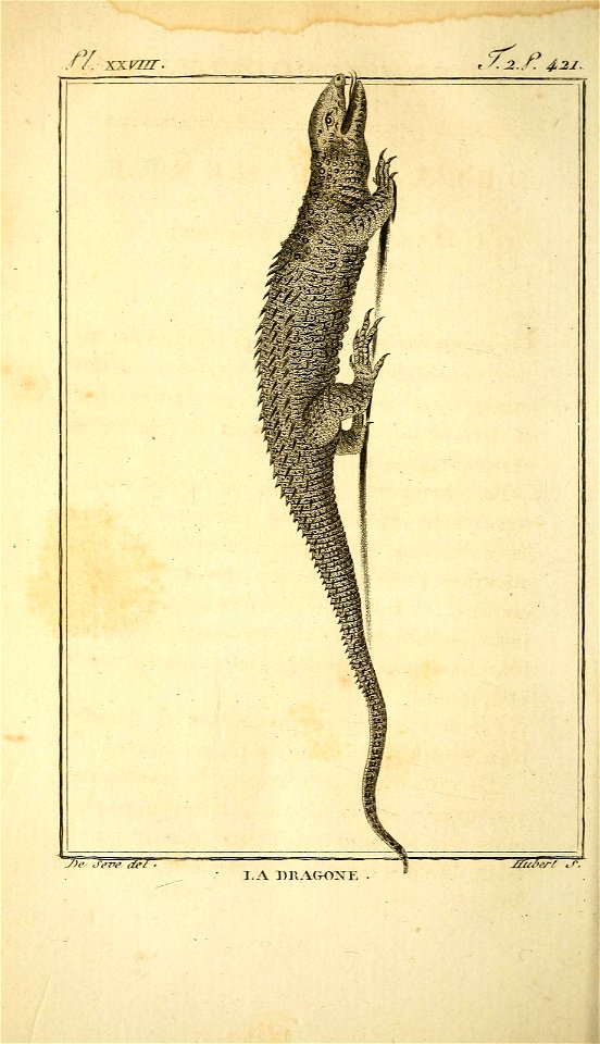 n453_w1150