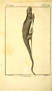 n453_w1150