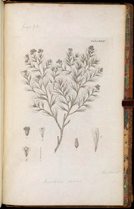 n468_w1150