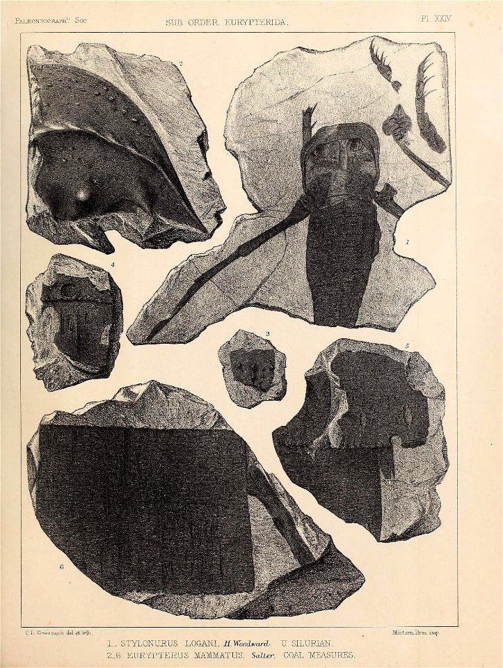 n302_w1150