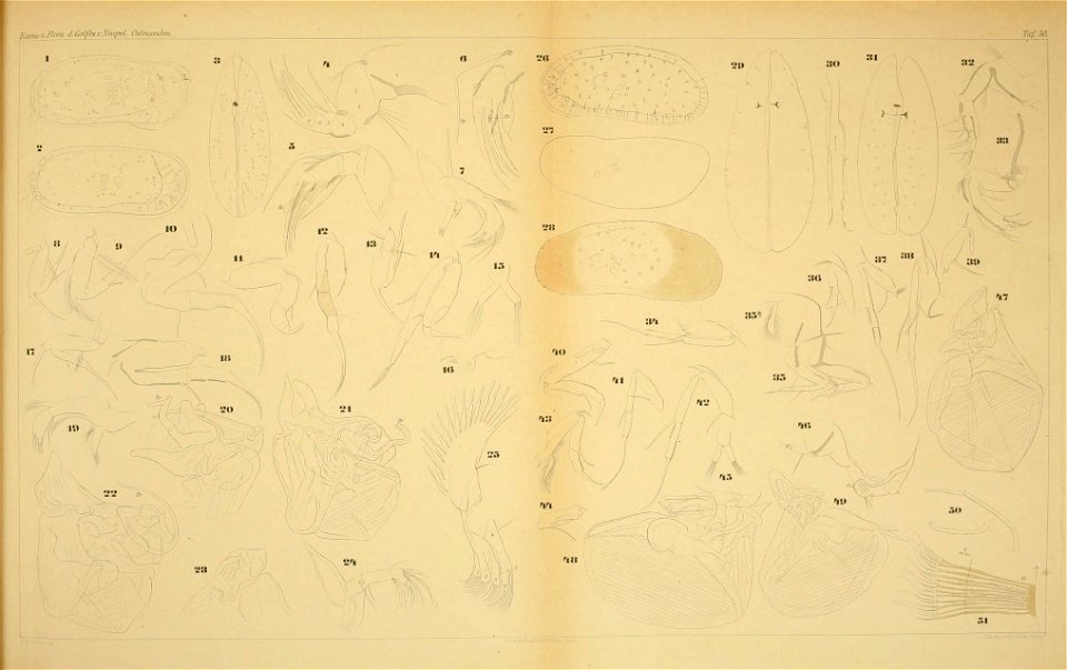 n538_w1150