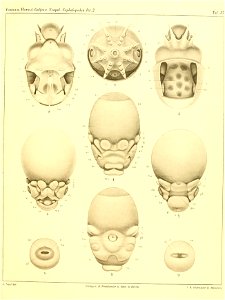 n384_w1150