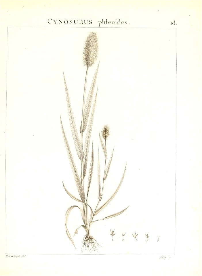 n44_w1150