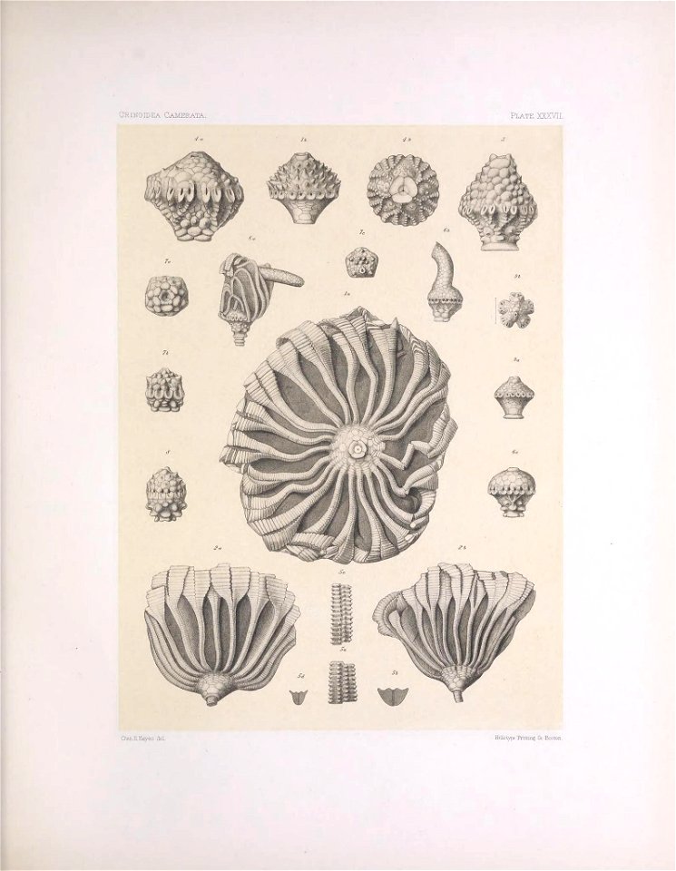 n156_w1150