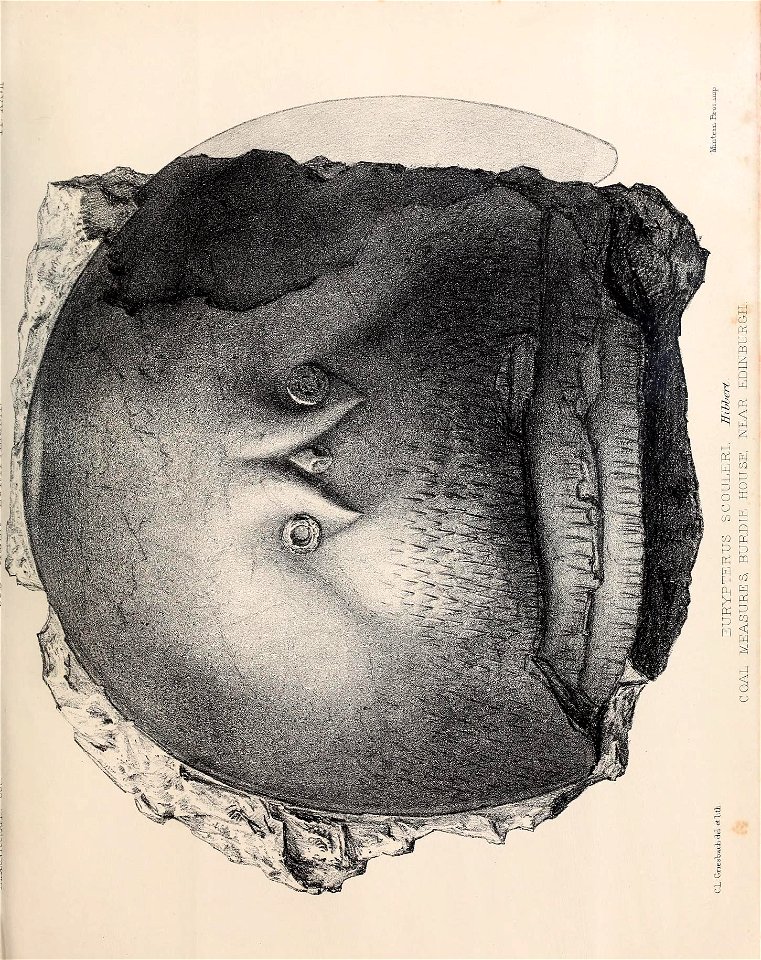 n314_w1150