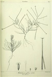 n256_w1150
