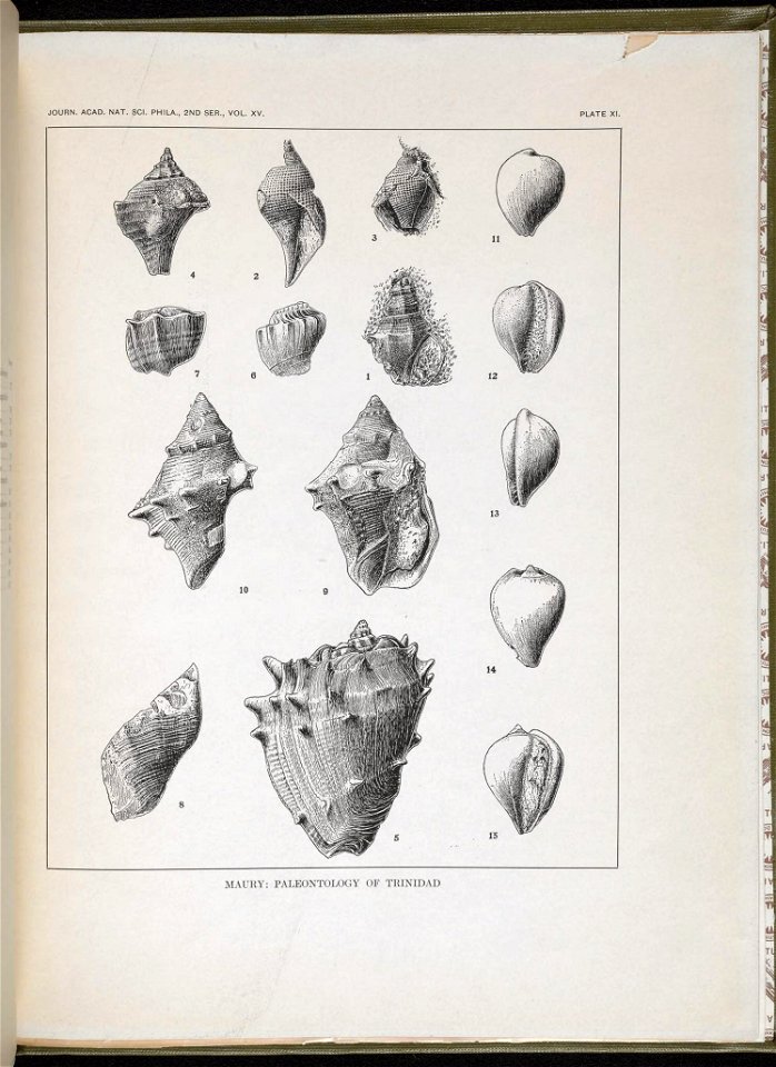 n122_w1150