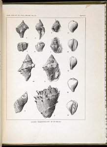 n122_w1150