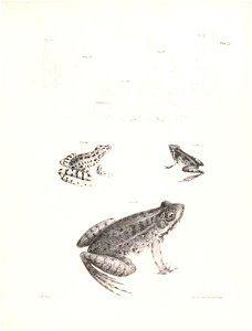 n56_w1150
