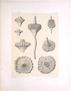 n136_w1150