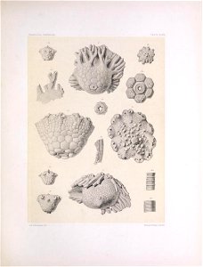 n196_w1150