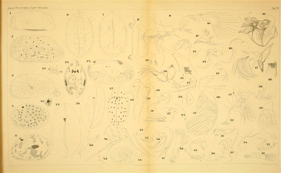 n574_w1150
