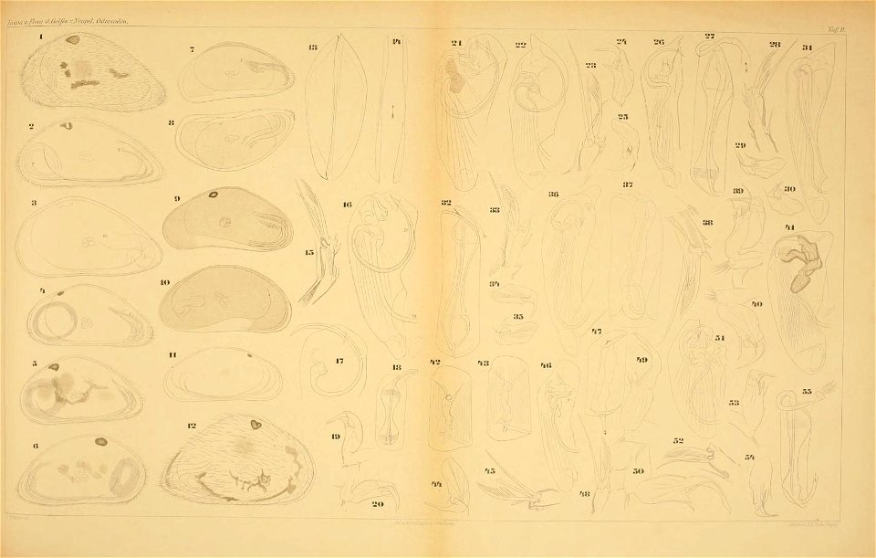 n454_w1150