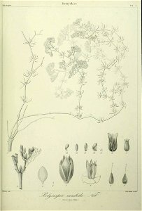n292_w1150
