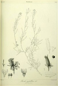 n262_w1150