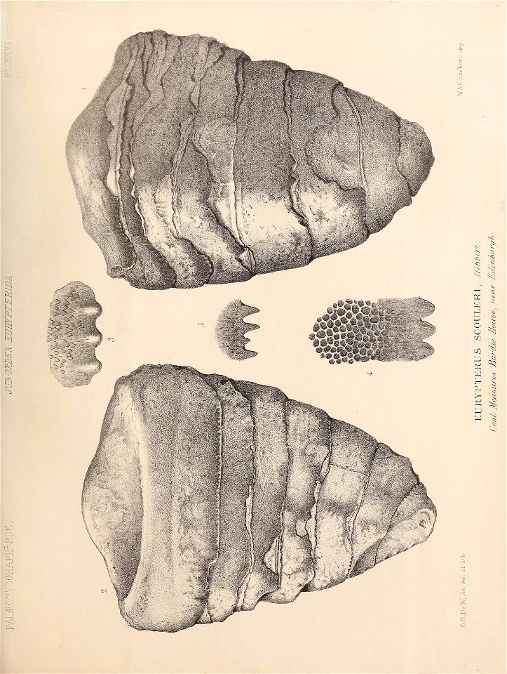n310_w1150