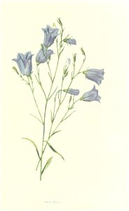 n139_w1150
