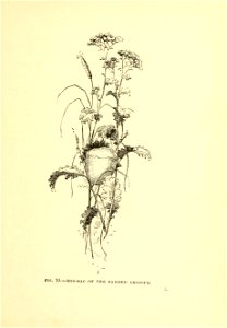 n50_w1150
