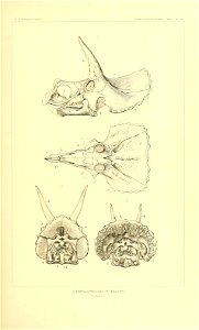 n356_w1150
