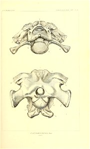 n176_w1150