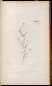 n122_w1150