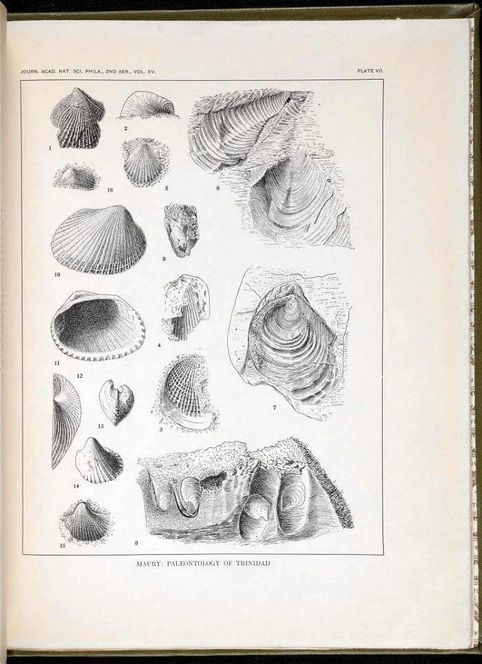 n106_w1150