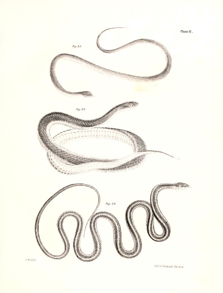 n34_w1150
