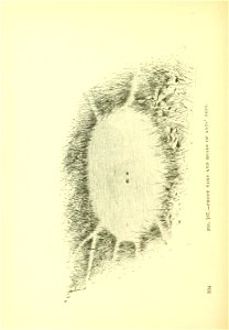 n349_w1150