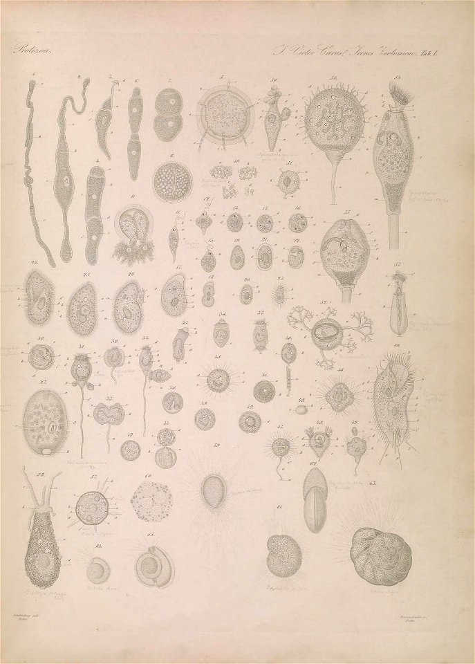 n16_w1150