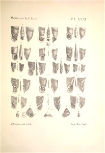 n182_w1150