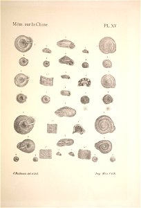 n104_w1150