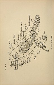 n67_w1150