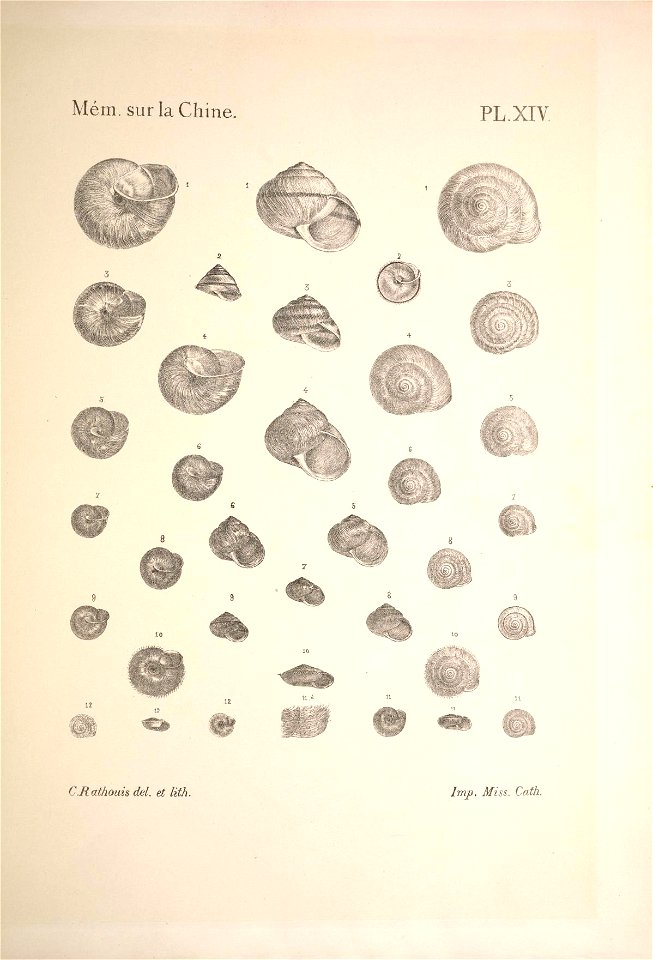 n102_w1150