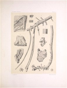n12_w1150