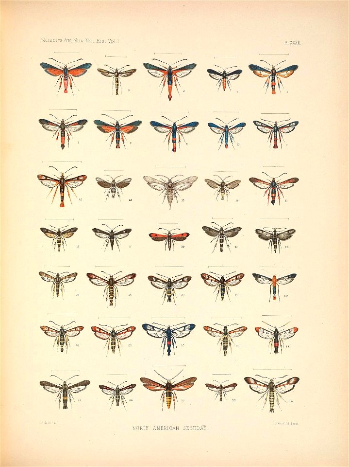 n162_w1150