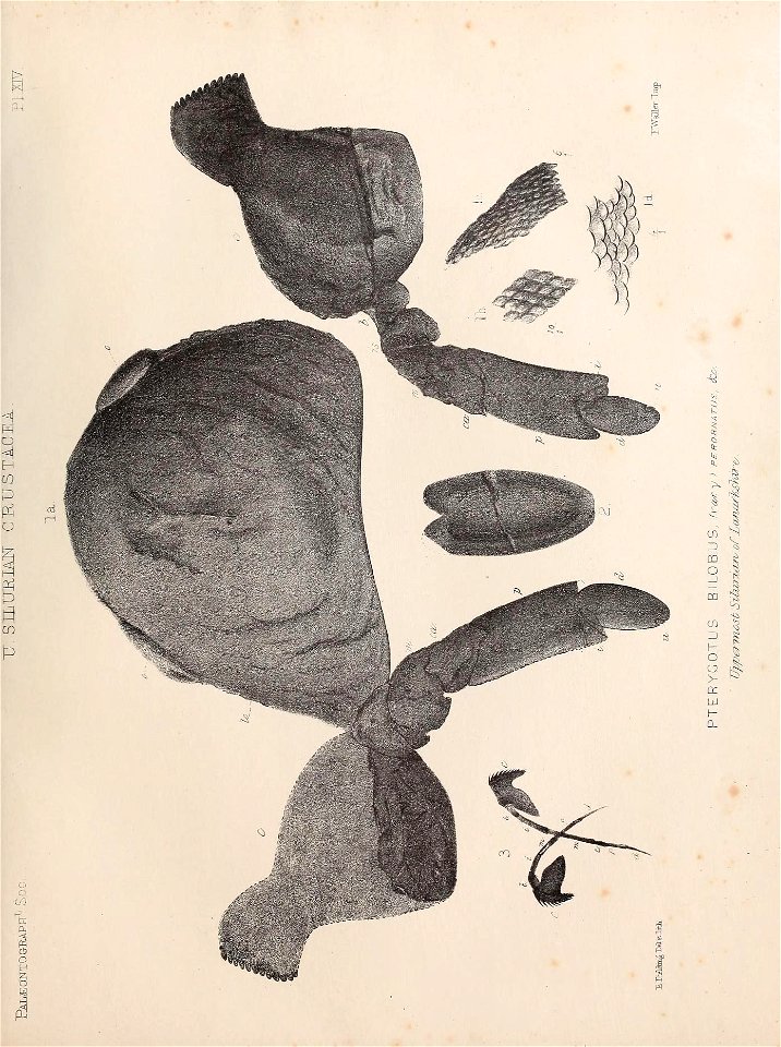 n148_w1150
