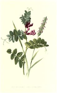 n163_w1150