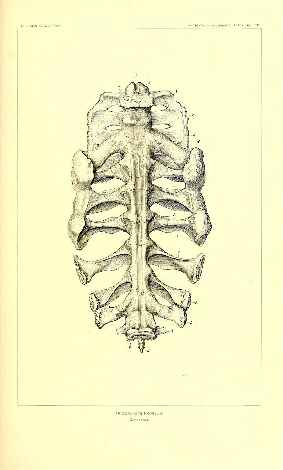 n376_w1150