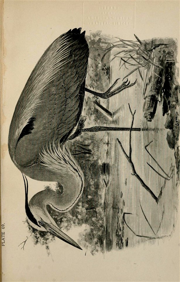 n412_w1150