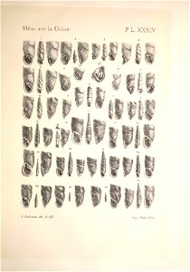 n256_w1150