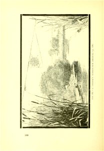 n205_w1150