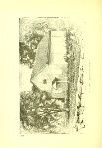 n339_w1150