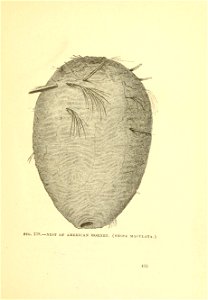 n450_w1150