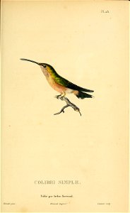 n150_w1150