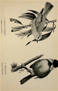 n114_w1150